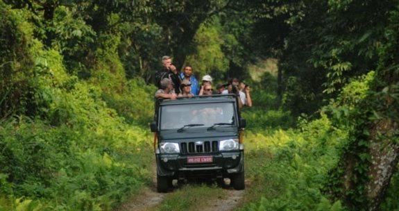 Hotel Royal Safari Chitwan Exteriör bild